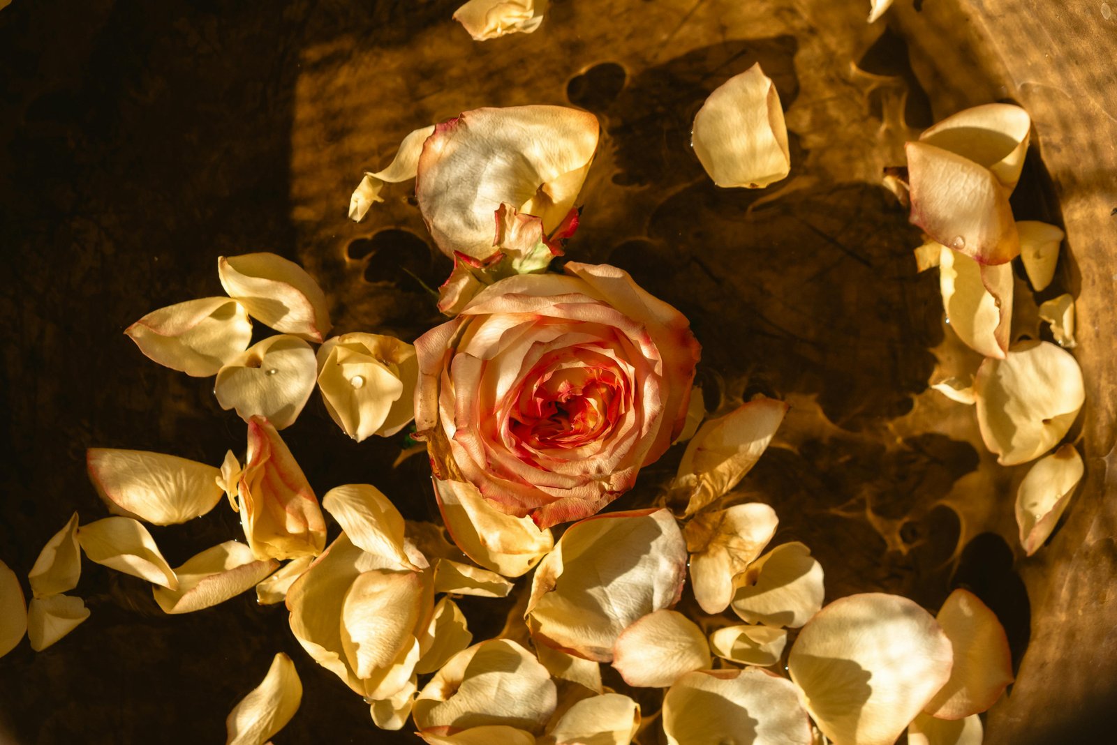 Ayurveda meditation rejuvenation therapy
